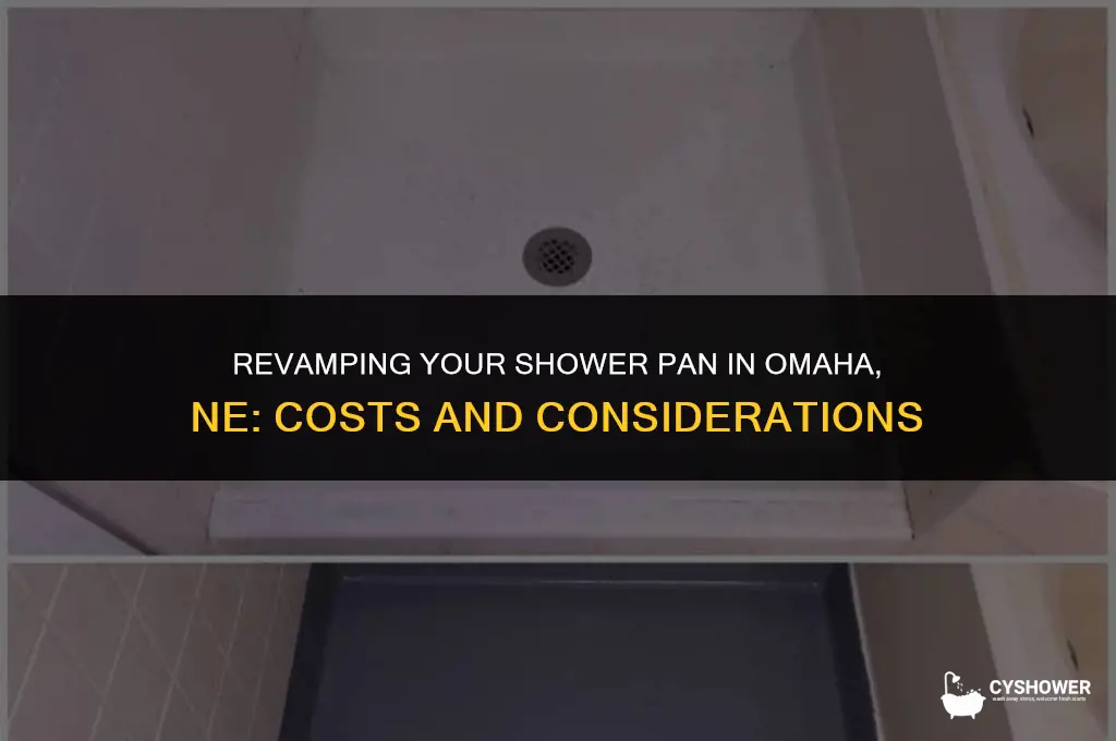how much to refinish shower pan in omaha ne