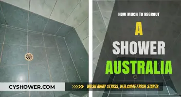 Revamping Your Shower: A Guide to Regrouting Costs in Australia