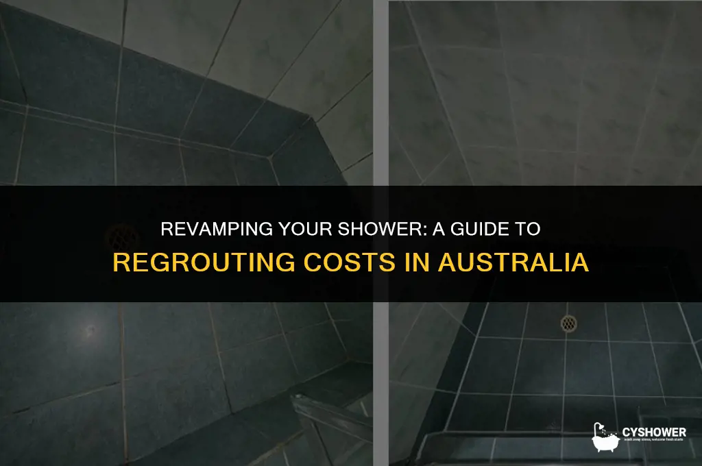 how much to regrout a shower australia