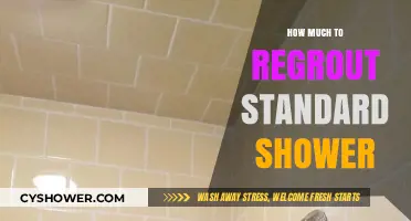 Revamping Your Shower: A Guide to Regrouting Costs for Standard Showers