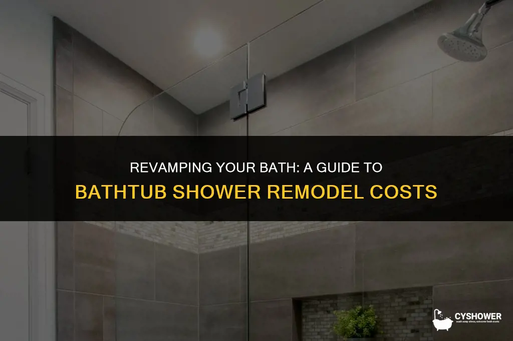 how much to remodel a bathtub shower