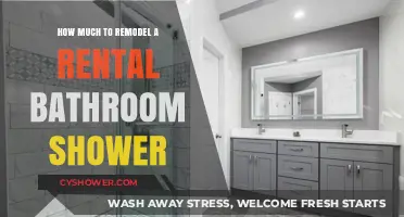 Revamping Your Rental: A Guide to Shower Remodel Costs