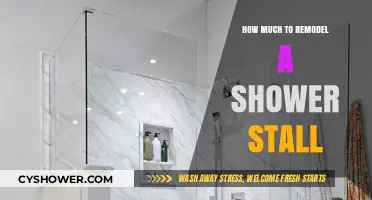 Revamping Your Shower Stall: A Comprehensive Remodeling Cost Guide