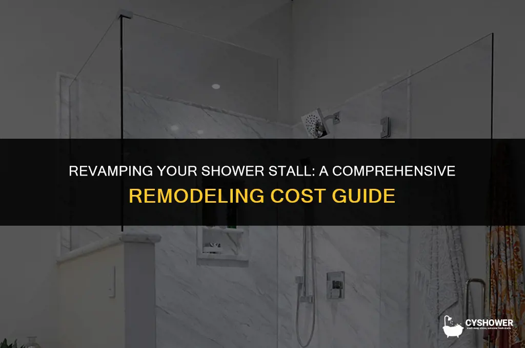 how much to remodel a shower stall