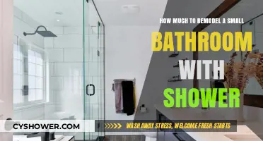 Revamping Your Compact Bathroom: A Guide to Budget-Friendly Shower Remodels