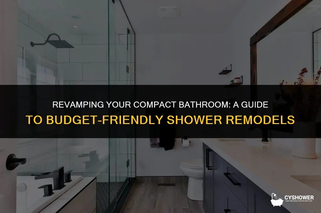 how much to remodel a small bathroom with shower