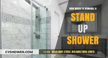 Revamping Your Stand-Up Shower: A Comprehensive Remodeling Guide