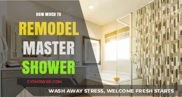 Revamping Your Master Shower: A Cost Breakdown and Guide