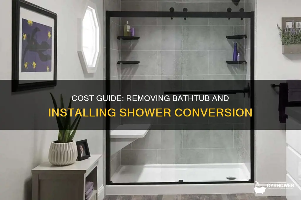 how much to remove a bathtub and install a shower