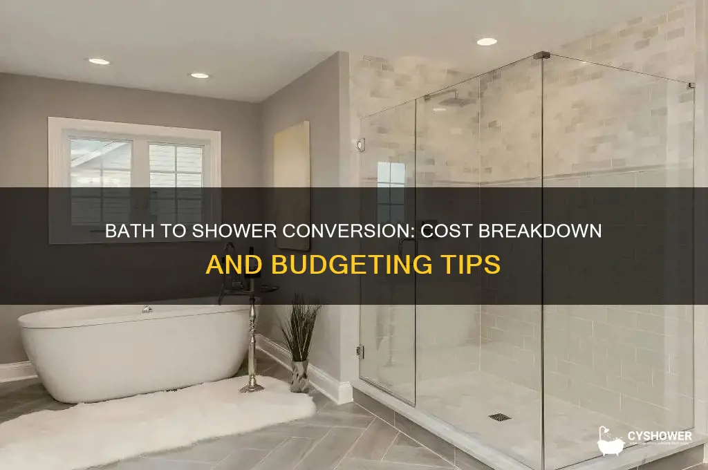 how much to remove bath and replace with shower