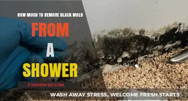 Effective Black Mold Removal Costs for Your Shower: A Complete Guide