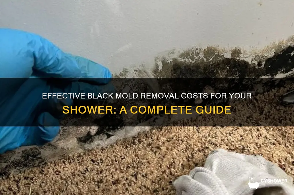 how much to remove black mold from a shower