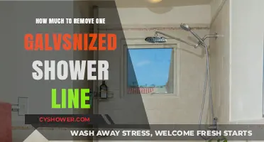 Cost to Remove a Galvanized Shower Line: What to Expect
