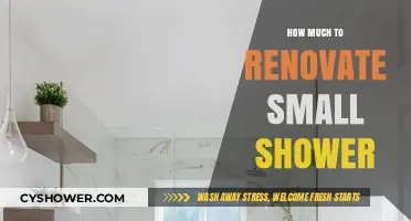 Revamping Your Small Shower: A Budget-Friendly Guide