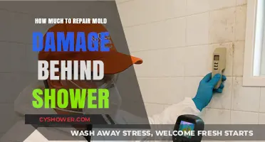 Behind the Scenes: Unveiling the Costs of Shower Mold Repair