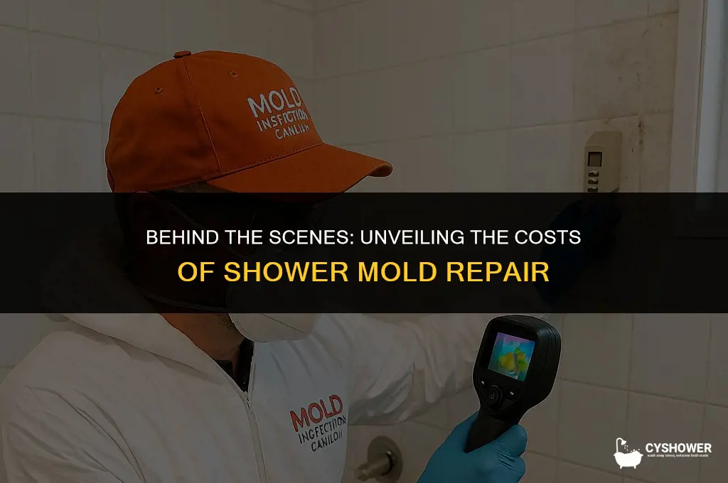 how much to repair mold damage behind shower