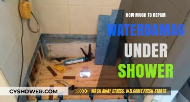 Reviving Your Shower: A Guide to Repairing Water Damage