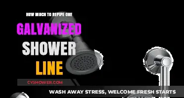 Revamping Your Shower: The Cost of Replacing Galvanized Pipes