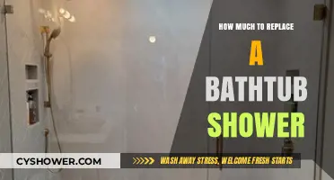 Revamping Your Bath: The Cost of Replacing a Bathtub Shower