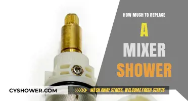 Revamping Your Bathroom: The Cost of Replacing a Mixer Shower