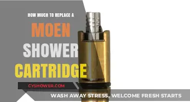Cost to Replace a Moen Shower Cartridge: DIY vs. Pro Guide