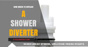Cost Breakdown: Replacing Your Shower Diverter - A Comprehensive Guide
