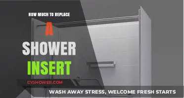 Revamping Your Shower: A Guide to Insert Replacement Costs