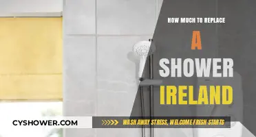 Shower Replacement Costs in Ireland: What to Expect and Budget For