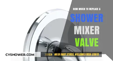 Cost Guide: Replacing a Shower Mixer Valve – What to Expect