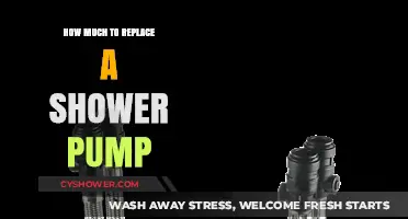 Shower Pump Replacement Cost: What to Expect and Budget For