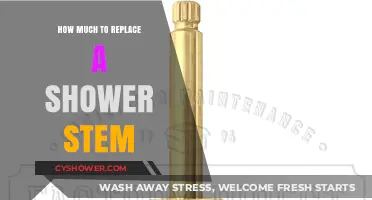 Revamping Your Shower: The Cost of Replacing a Shower Stem