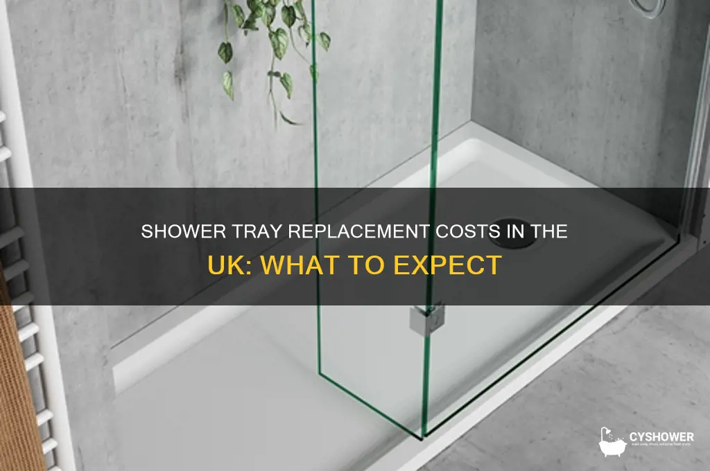 how much to replace a shower tray uk