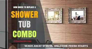 Revamping Your Bathroom: The Cost of Replacing a Shower-Tub Combo