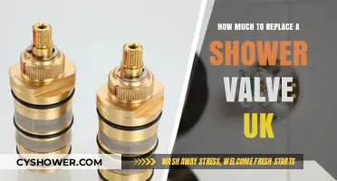 UK Shower Valve Replacement Costs: What to Expect and Budget For