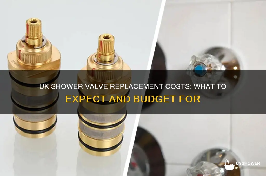 how much to replace a shower valve uk