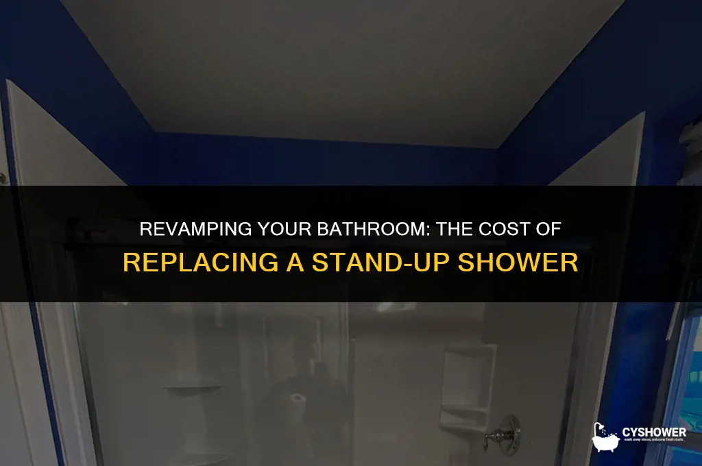 how much to replace a stand up shower