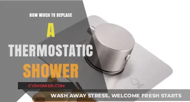 Cost Guide: Replacing a Thermostatic Shower – What to Expect
