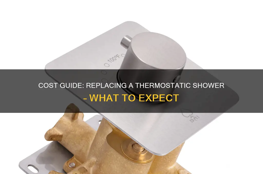 how much to replace a thermostatic shower