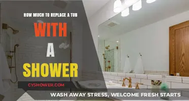 Tub to Shower Conversion: Cost Breakdown and Budgeting Tips