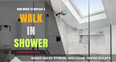Revamping Your Bathroom: The Cost of Replacing a Walk-In Shower
