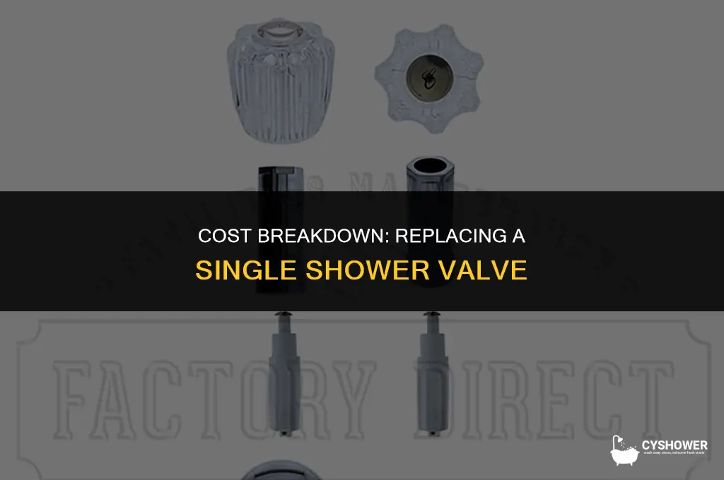 how much to replace one piece shower valve