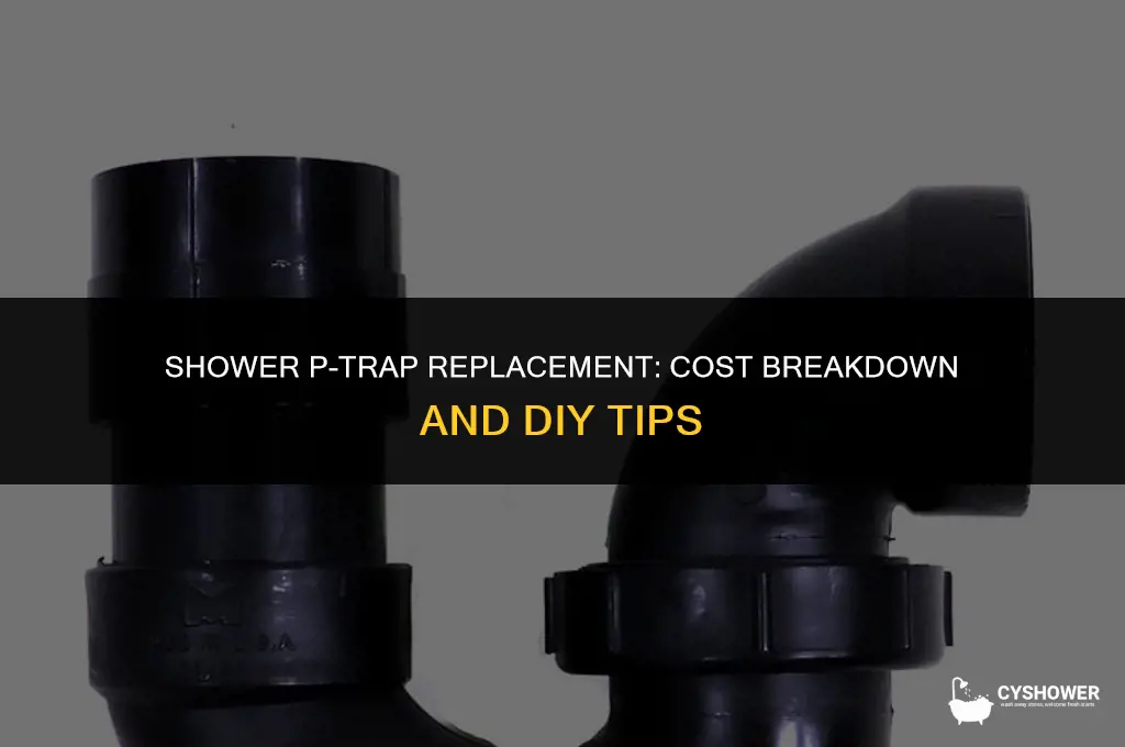 how much to replace p trap in shower