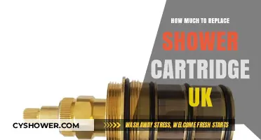 Shower Cartridge Replacement Cost Guide for UK Homeowners