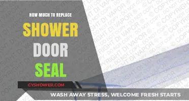 Cost-Effective Guide to Replacing Your Shower Door Seal Easily