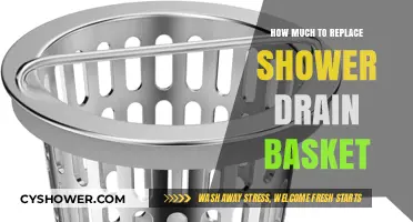 Cost Guide: Replacing Your Shower Drain Basket – What to Expect