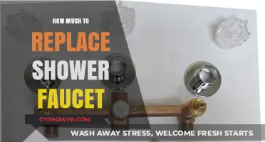 Cost Guide: Replacing Your Shower Faucet – What to Expect