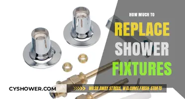 Revamping Your Shower: A Guide to Fixture Replacement Costs