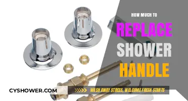 Revamping Your Shower: The Cost of Replacing a Shower Handle