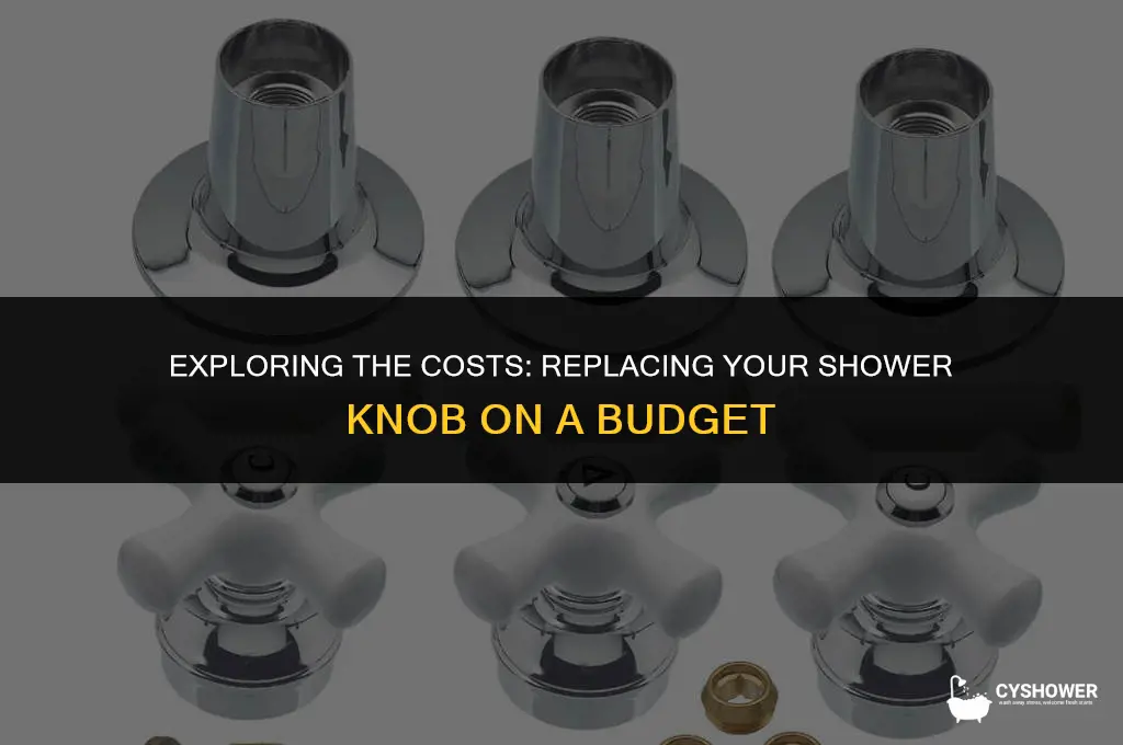 how much to replace shower knob