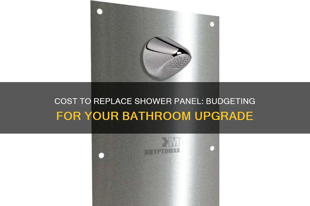 how much to replace shower panel